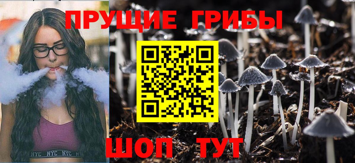 Галлюциногенные грибы Psilocybe  Вход с VPN  Кузнецк 