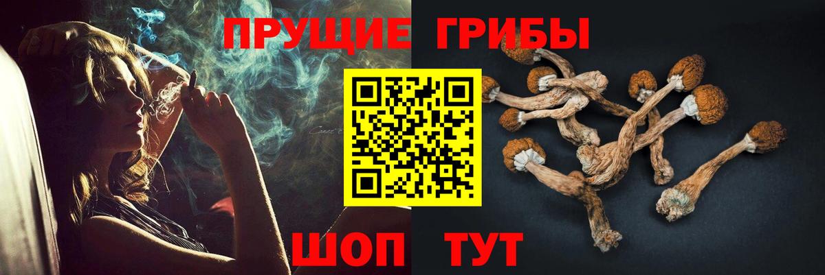 Псилоцибиновые грибы Magic Shrooms Кузнецк